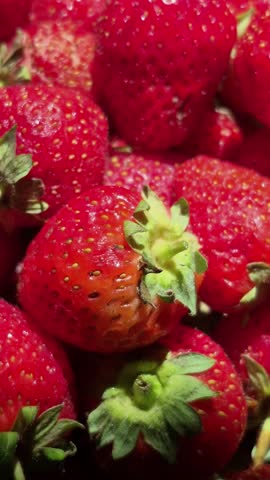 Close-up macro view of fresh, ripe red strawberries with green leaves under bright sunlight.