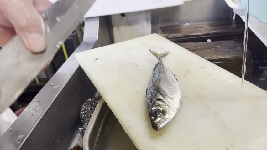 Close-up of a chef using a kitchen knife to cut and fillet a fresh horse mackerel on a cutting board in a Japanese izakaya kitchen.
