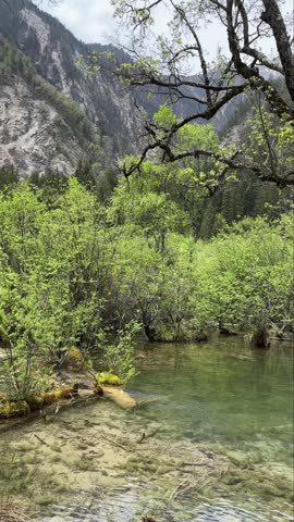 Experience the tranquil beauty of Jiuzhaigou Valley National Park in Sichuan, China, where crystal-clear turquoise water gently flows amidst lush green trees and towering mountains. This pristine