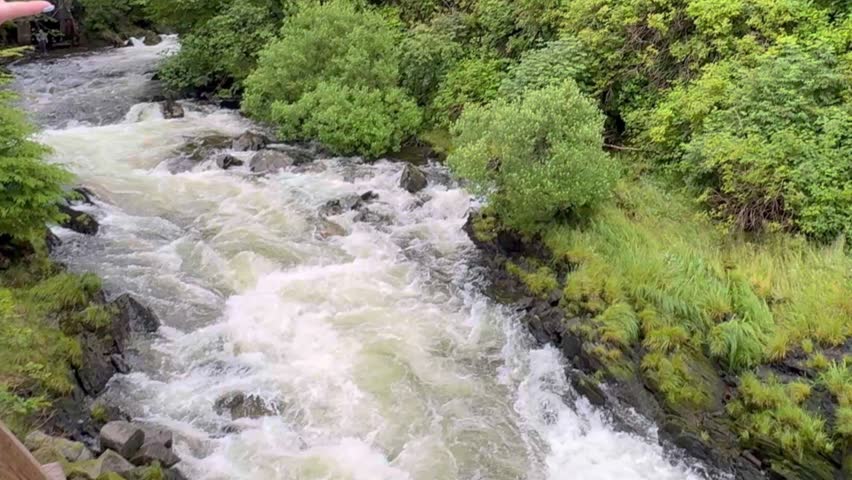 Top view footage of a small river flowing downstream