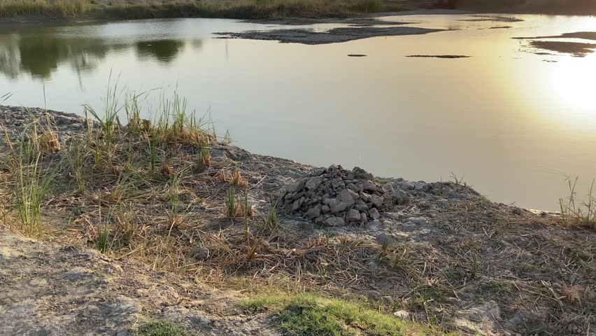 Sunset reflection over rural irrigation pond with muddy shoreline and wetland landscape
