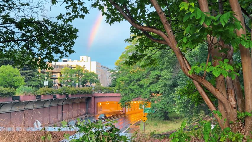 Rainbow over road tunnel framed by trees, Washington D.C. Lush green foliage and warm tunnel glow on wet pavement after rain.