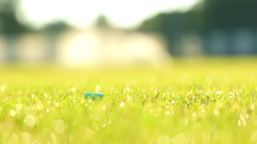 Hand wearing glove places golf ball on tee in sunny field.