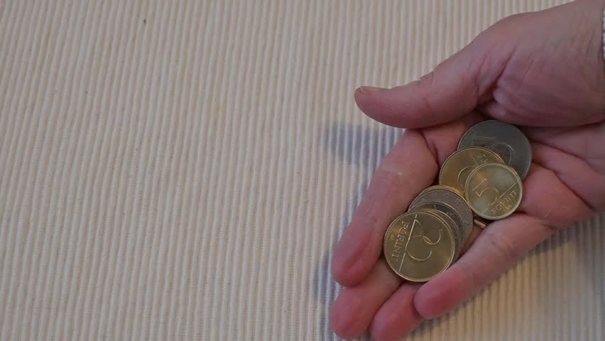 Close-up of a hand taking Hungarian forint coins, representing financial pressure, savings and scarcity.
