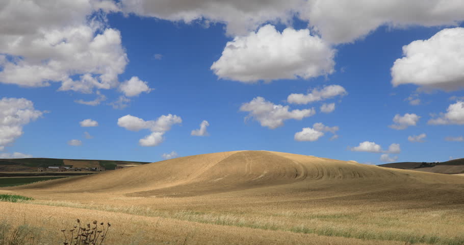 Cloud shadows cross wheat fields in a windswept hilly landscape as birds chirp.