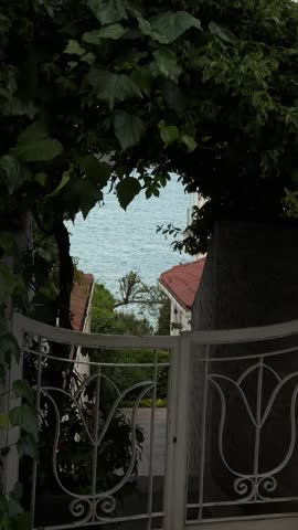 Seagull flying over the ocean seen through a rustic gate covered with green foliage