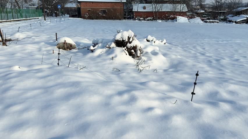 A peaceful look at the yard covered in pristine, untouched winter snow