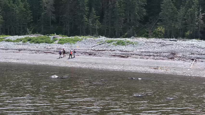 People walks in a Dirt and Stone Road Between the Forest and the River near the Waterfall Known as "Chute à Boule" in Anticosti Island, Quebec, Canada