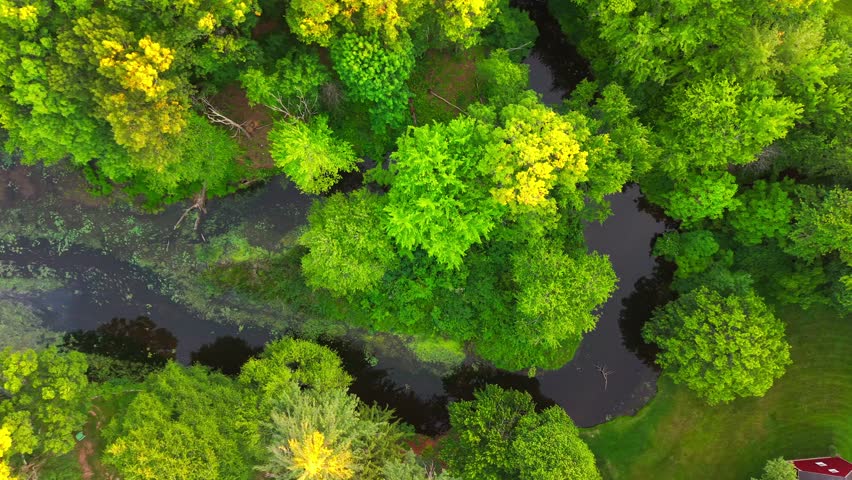 Summer aerial view featuring the Bell Pond Reservoir at Mill Woods Park in Wethersfield, Connecticut
