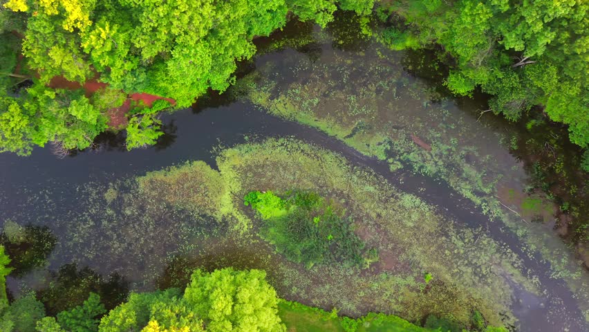 Summer aerial view featuring the Bell Pond Reservoir at Mill Woods Park in Wethersfield, Connecticut