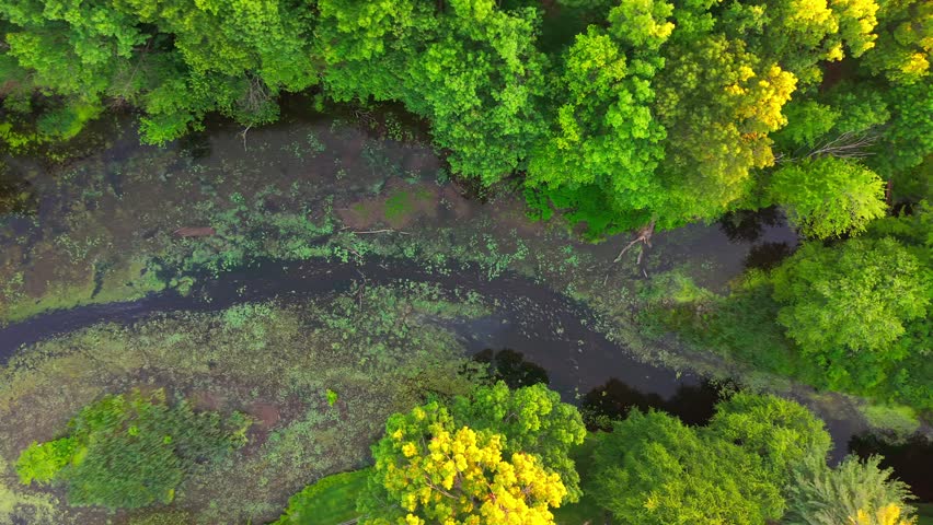 Summer aerial view featuring the Bell Pond Reservoir at Mill Woods Park in Wethersfield, Connecticut