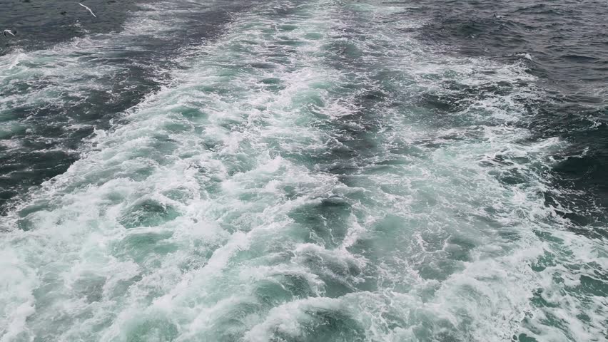 High-angle shot of a powerful boat wake cutting through the deep blue ocean water. The movement creates a beautiful trail of white foam, bubbles, and churning waves. Several seagulls are seen flying and hovering low over the disturbed water surface, searching for food. Perfect for travel, maritime transport, vacation, cruise, nature, and marine life themed projects.