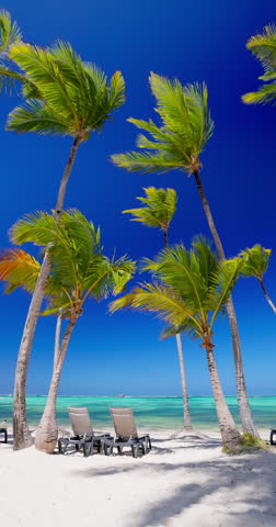 Paradise exotic sandy beach Punta Cana, Dominican Republic. Relaxing sun loungers under palm trees and Caribbean sea
