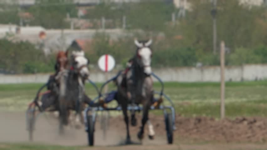 Exciting harness horse racing competition with jockeys in sulkies, as powerful horses gallop at full speed on a dirt track, kicking up dust during the intense equestrian competition