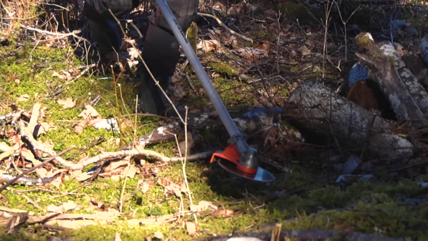 Detail of a forestry worker using a powerful brush cutter to clear twigs, branches, and undergrowth from a mossy forest floor in bright sunlight, performing essential land maintenance work
