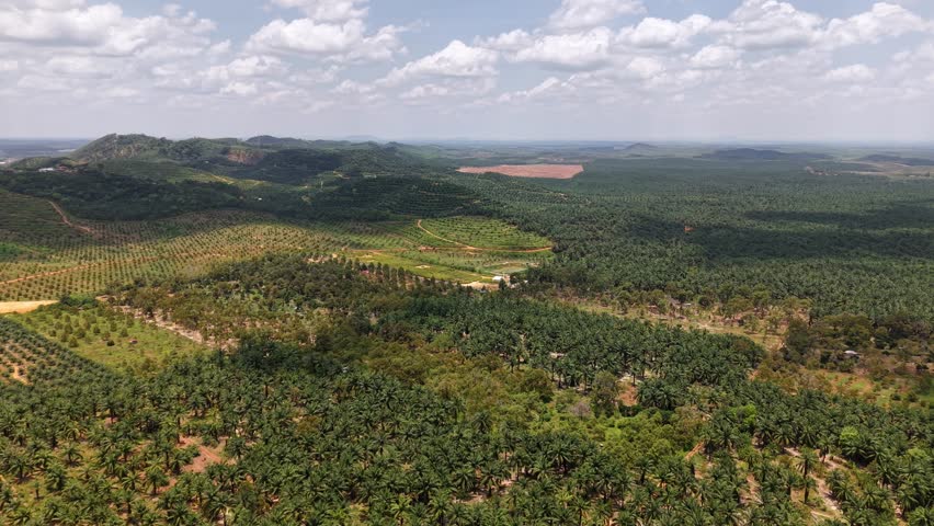 Aerial view of green hills. Forests blanket the terrain in deep green