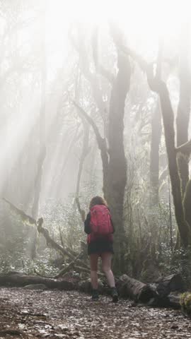 A hiker wanders through the enchanting laurisilva forest of Garajonay National Park, surrounded by mist and sunlight filtering through the trees.