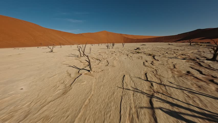 Fpv flight over deadvlei with dead trees and cracked earth, in sossusvlei, namib desert, namibia.