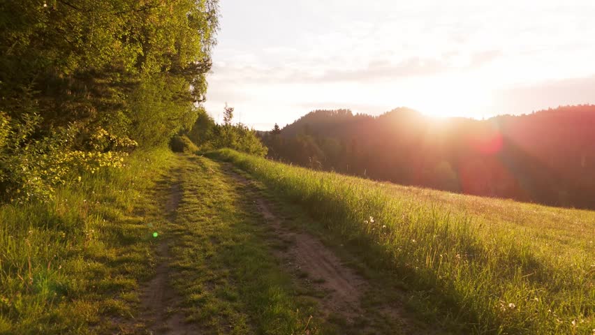 Drone view of rural dirt road through green meadow and forest at sunrise.