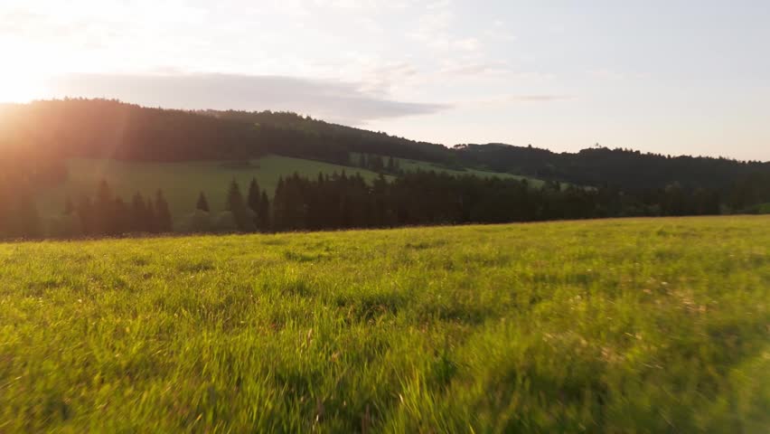 Drone view of rural dirt road through green meadow and forest at sunrise.