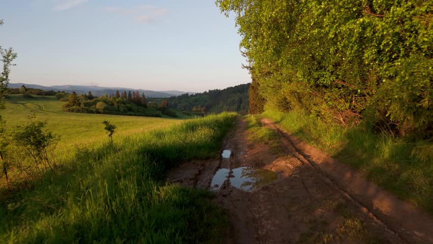 Drone view of rural dirt road through green meadow and forest at sunrise.