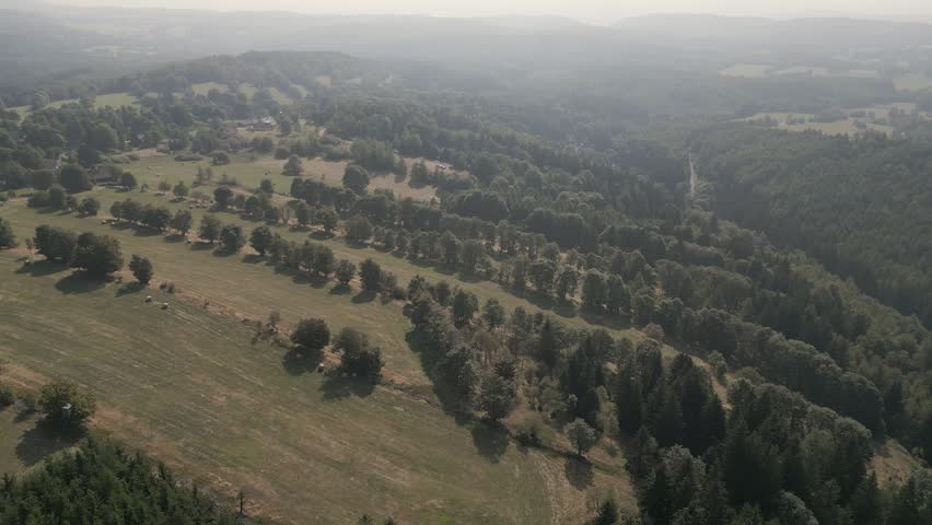 An aerial, high-angle view looks down onto a mix of dense evergreen spruce pine forests and sprawling, dry grassy fields on a sunny afternoon. The landscape features contrasting textures between the soft green meadows and dark forest patches.