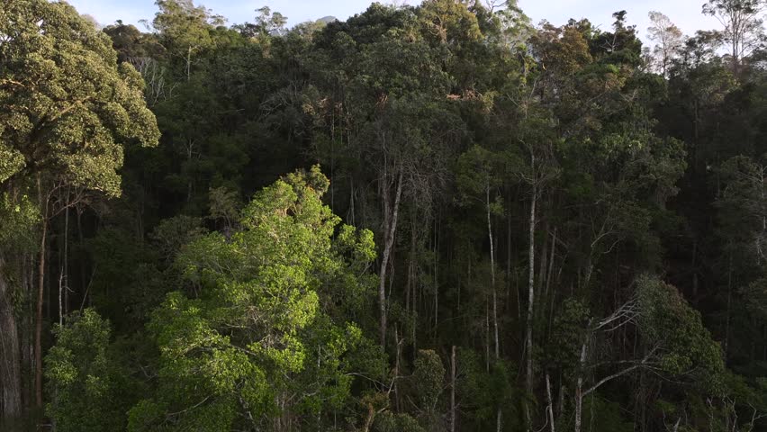 A revealing View of Mount Kinabalu From green hills in Sabah, Borneo. The highest mountain in Malaysia. Aerial.