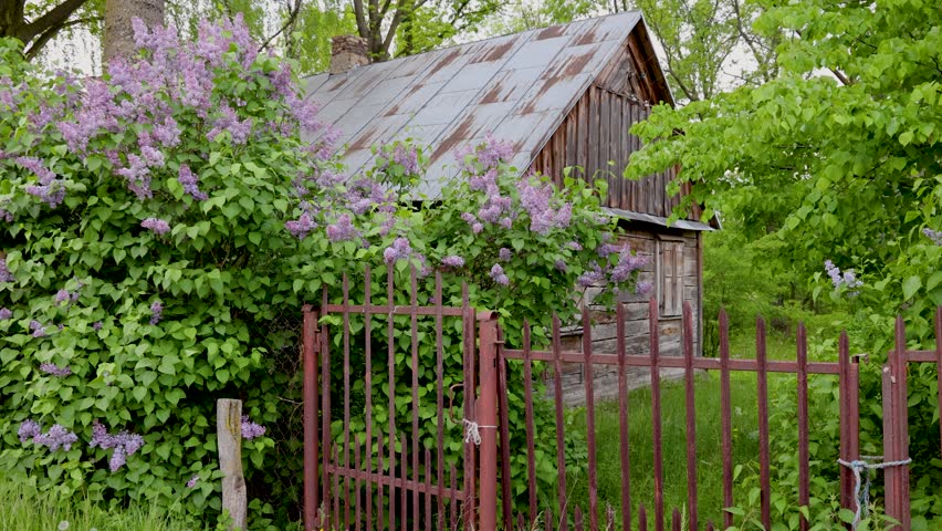 Old wooden house in Polish countryside, Mazowsze region of Poland