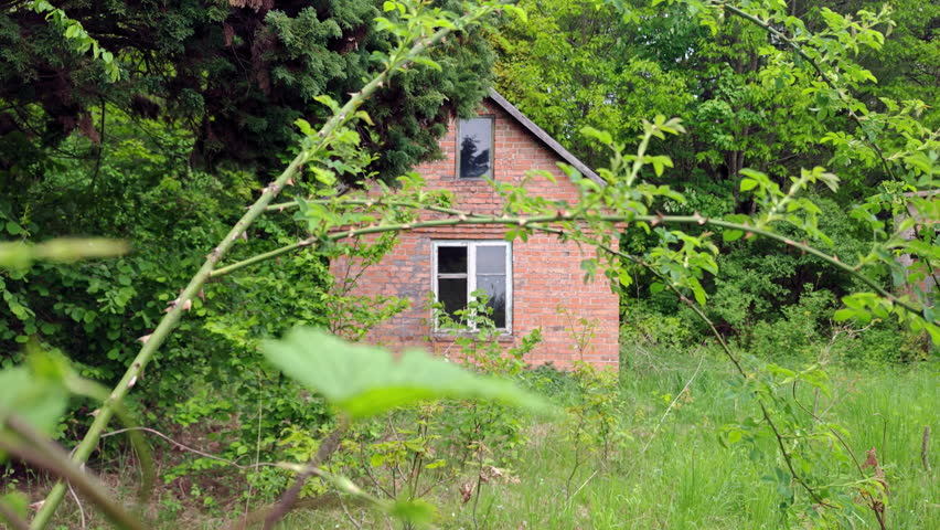 Old brick house with a slate roof surrounded by dense green forest.