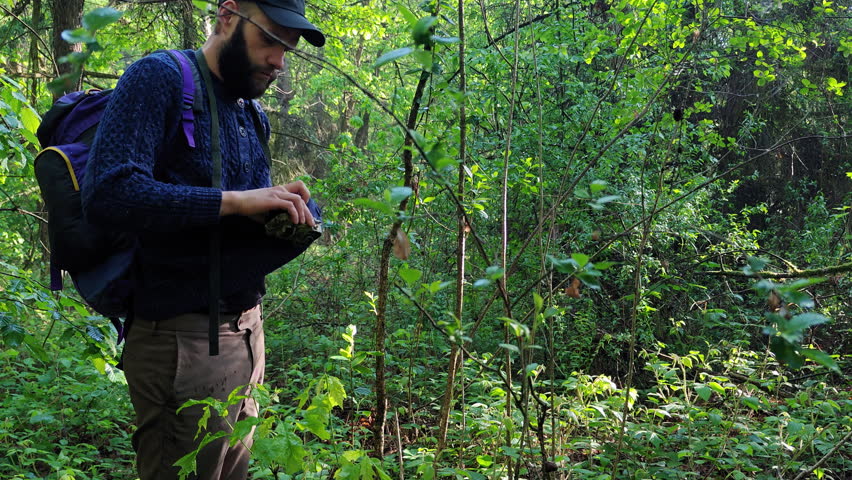 Hiker opening and checking settings of a trail camera mounted on a tree in the forest