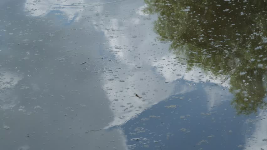 Reflections of clouds and trees on moving pond water