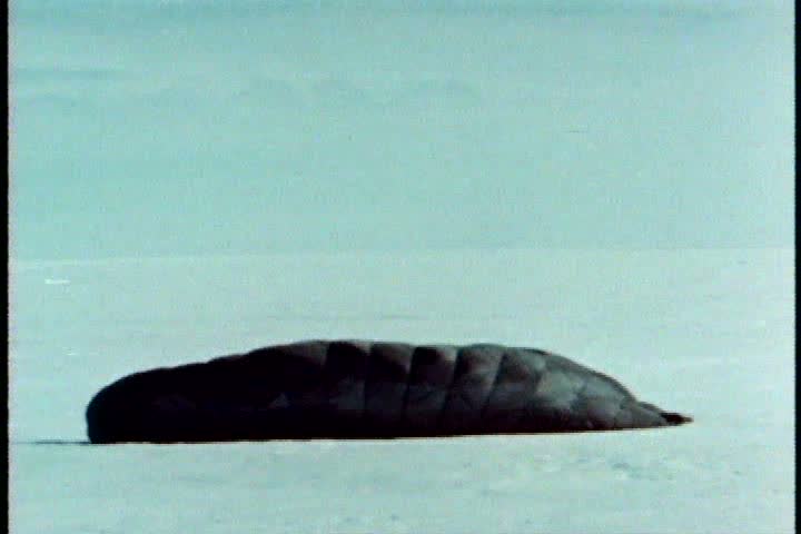 1960s - Scientific research is conducted in Antarctica in the 1960s.
