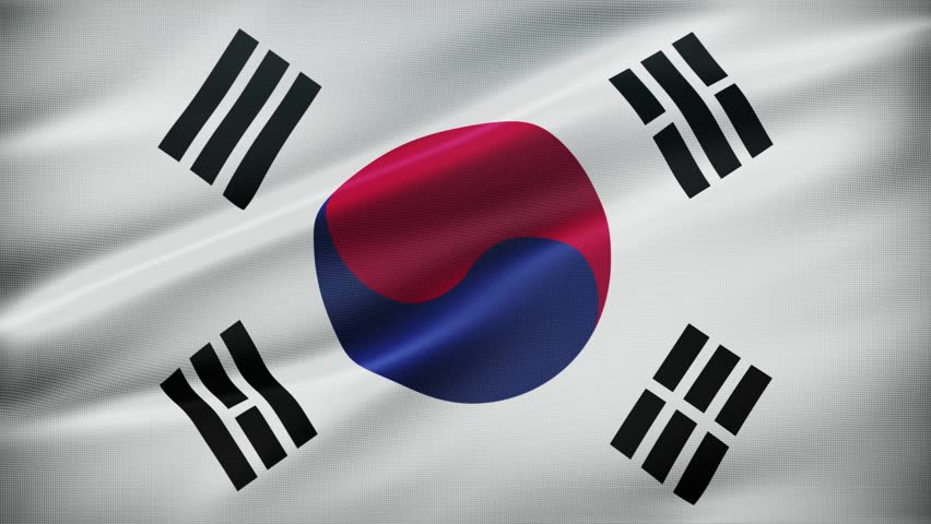 Korea South Realistic Flag Wave Motion Background