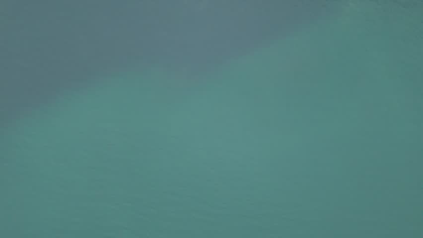 Drone tilts from turquoise lake to black volcanic sand beach with mangroves, Villarrica, Chile.