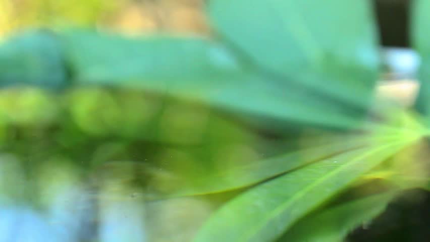 Water droplets in slow motion as they fall into the water.