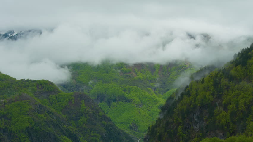 Mountain peaks clouds moving green forest rocky summit, tripod shot. Scenic landscape with misty fog rolling over alpine ridges under overcast sky.
