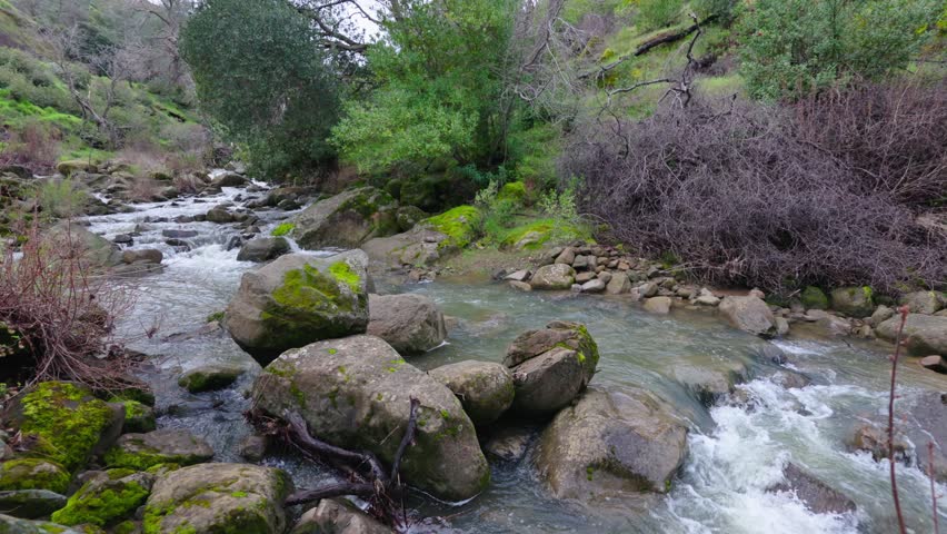 A rushing stream flows through mossy boulders