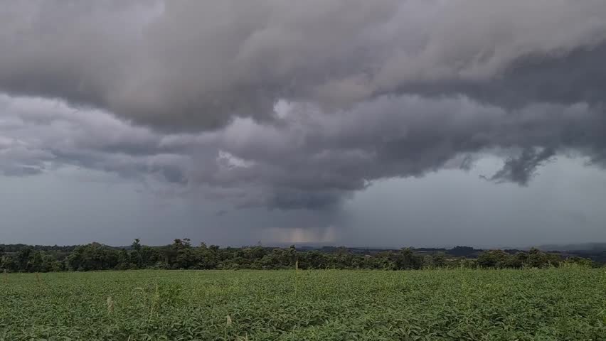 Thunderstorm Over Soybean Field in Paraguay – Dramatic Lightning and Agricultural Landscape