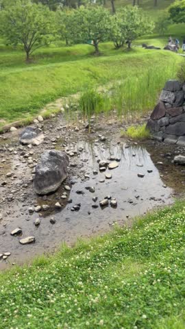 A peaceful small stream flowing through a lush green grassy landscape.