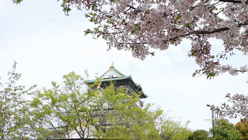 Osaka Castle tower in Japan framed by blooming sakura branches and fresh green trees during spring. Scenic travel view with historic architecture, cherry blossoms and peaceful Japanese atmosphere