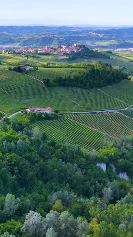 Drone footage captures expansive green vineyards and rolling hills under bright daylight in rural Italy.
