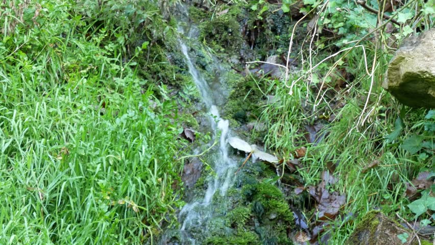 Close up view of small clear water stream trickling over mossy rocks surrounded by vibrant green grass and wet forest vegetation during peaceful spring day. Dynamic footage.