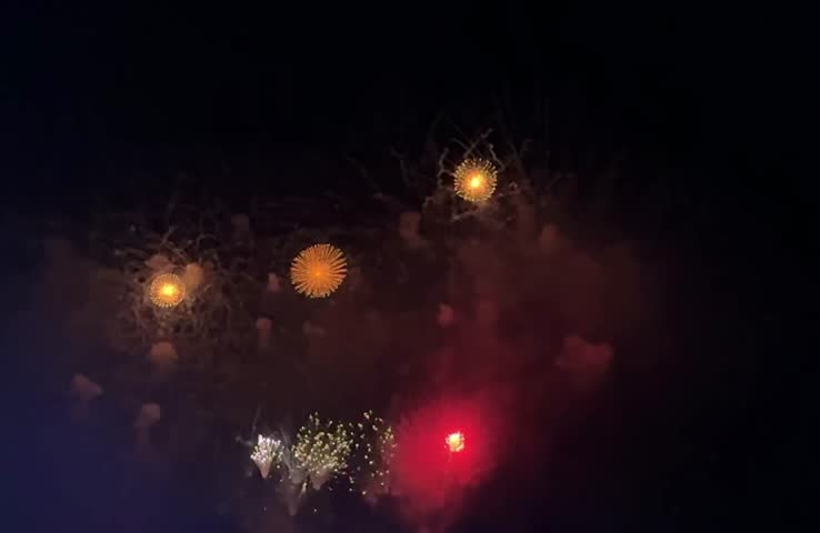 Colorful Fireworks Exploding Over Dark Night Sky