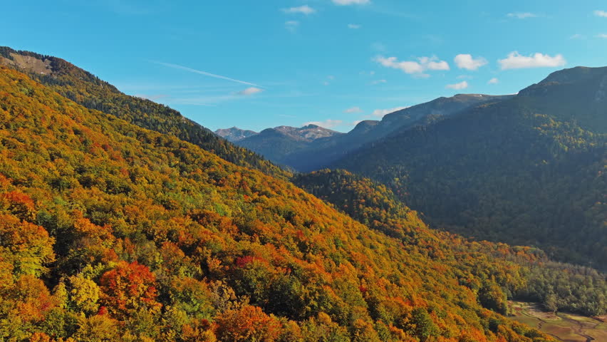 Drone aerial view of vibrant autumn forest on sloping mountain. Natural landscape background, 4k