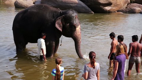 HAMPI, KARNATAKA, INDIA - APRIL 2013: People and elephant bathing in river