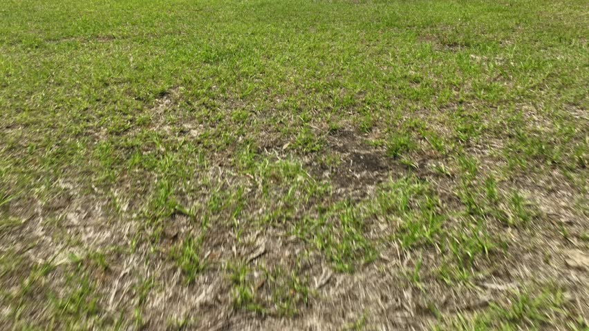 Dynamic motion footage of baseball field featuring green grassy outfield and orange dirt infield under blue sky with clouds. Outdoor park recreation facility scenery.