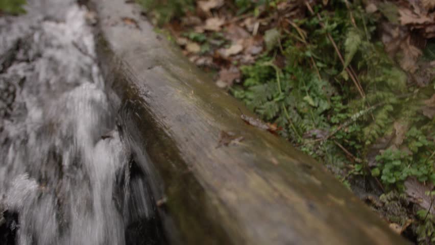 Close-up of a hand caressing a wet wooden log beside a stream; water flows, leaves and moss surround, conveying tranquility.