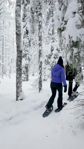 Embark on a memorable journey through the serene snowy landscapes of Akaslompolo, Lapland. Experience the tranquil beauty of winter as snowshoers glide through pristine forests.