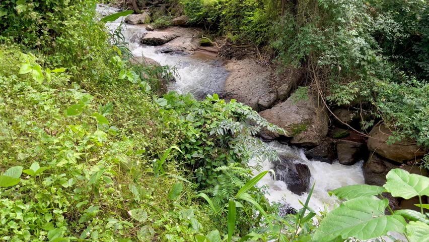 Waterfall in a stream with green natural forest