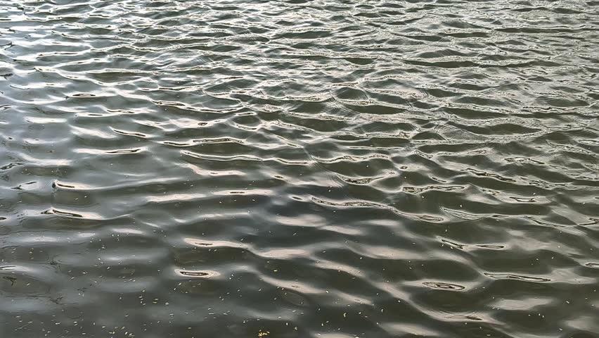 Calm water ripples and small waves on the surface of a lake or river background